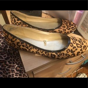 Leopard Xhiliration flats